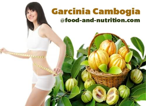 Garcinia Cambogia Extract