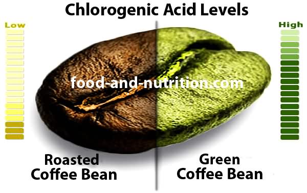 Chlorogenic Acid Coffee Bean