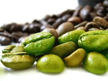 Green Coffee Bean Extract