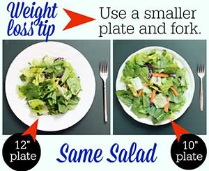smaller plate control hunger