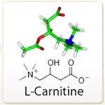 L-Carnitine