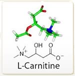 L-Carnitine