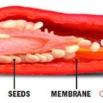 Capsaicin Phentermine 375