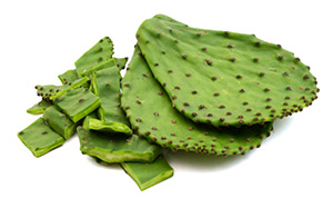 Nopal Ingredient