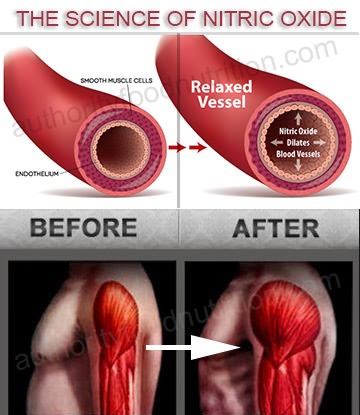 Using Nitric Oxide Supplements