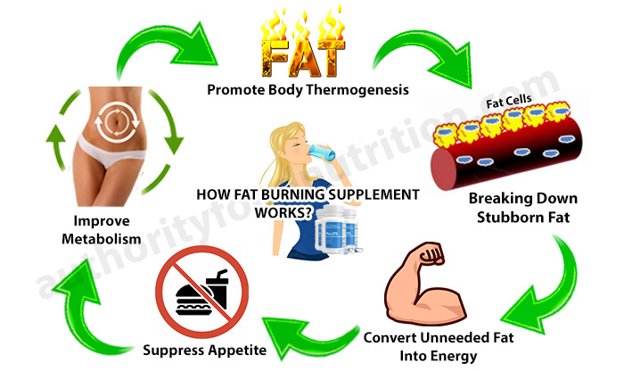 How Fat Burning Supplement Works