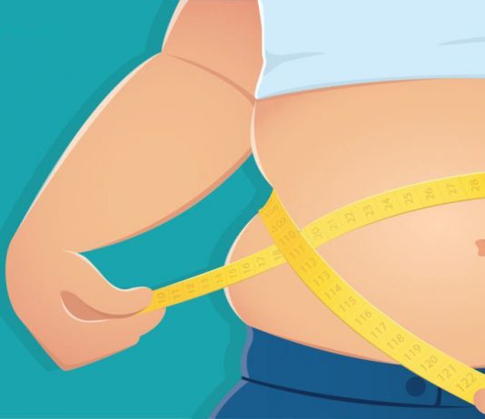 Belly Fat Burner Food